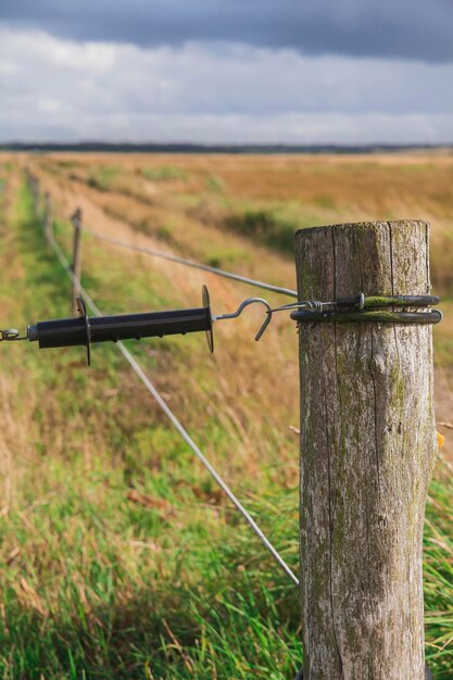 Elektronischer Hirte. Mit Draht eingezäunte Weide mit schwacher Strömung