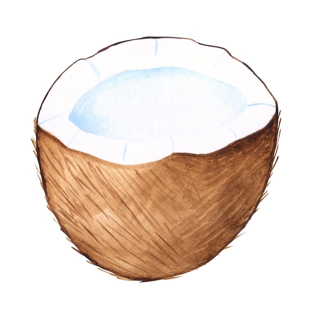 Elemento aislado de coco cortado en acuarela para el diseño Ilustración dibujada a mano