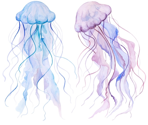 Elemento aislado de medusas de acuarela rosa y azul claro para boda náutica en el mar Ilustración