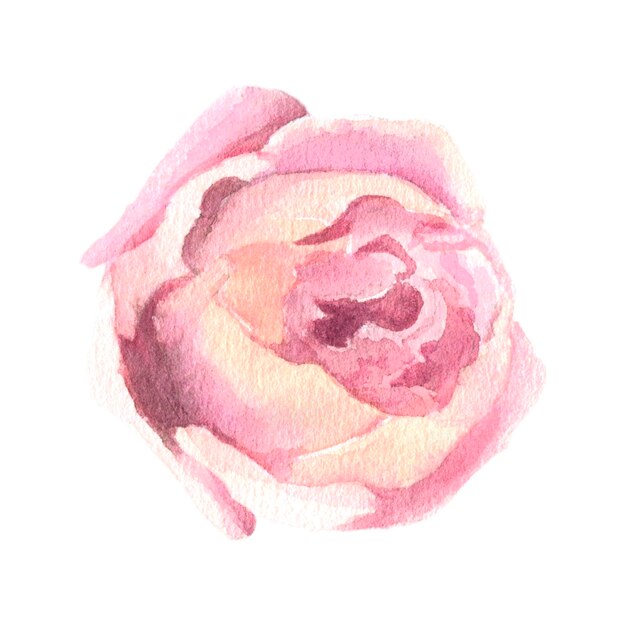 Foto elemento de aquarela rosa pêssego isolado no fundo branco