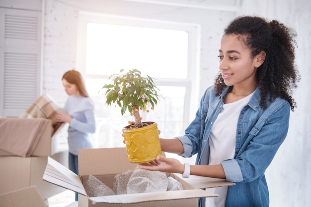 Elemento de decoração. Jovem encantadora retirando uma planta da caixa e sorrindo enquanto sua colega de quarto desfaz um cobertor