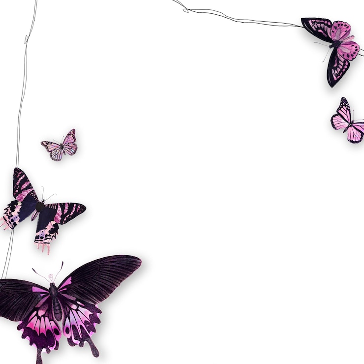 Foto elemento de desenho de borda de borboleta rosa