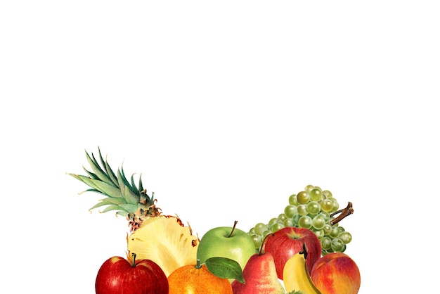 Elemento de desenho de borda de frutas tropicais mistas desenhadas à mão