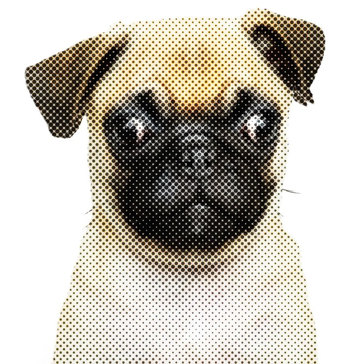 Foto elemento de design do adesivo para cachorrinhos de pug