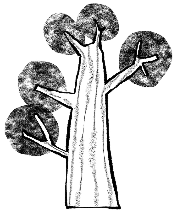 Foto elemento de dibujos png de árbol grande fondo transparente