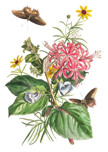 Elemento de diseño de garra de gato de época