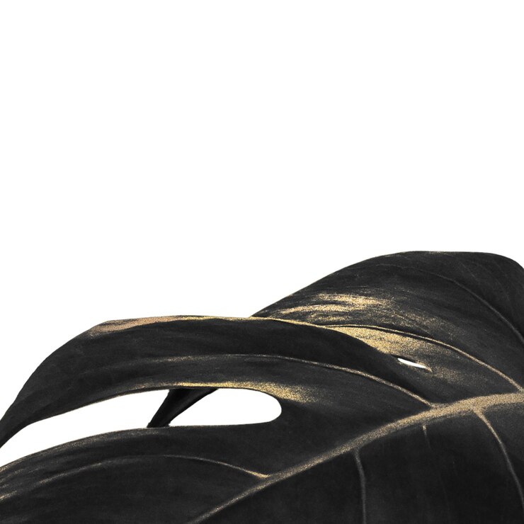 Elemento de diseño de la hoja de monstera tropical