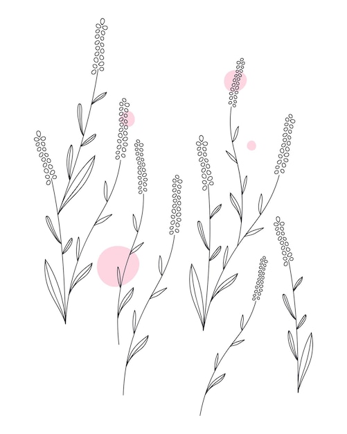 El elemento de diseño de lavanda png lindo fondo transparente