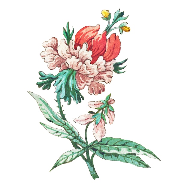 Elemento de diseño de la rama de la flor rosa en flor vintage