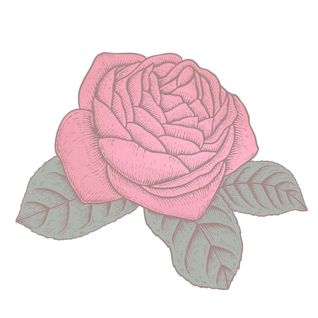 Elemento de diseño de superposición de la pegatina de la flor de la rosa roja