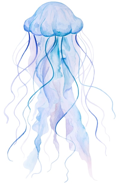 Elemento isolado de água-viva aquarela azul claro para ilustração de casamento náutico no mar