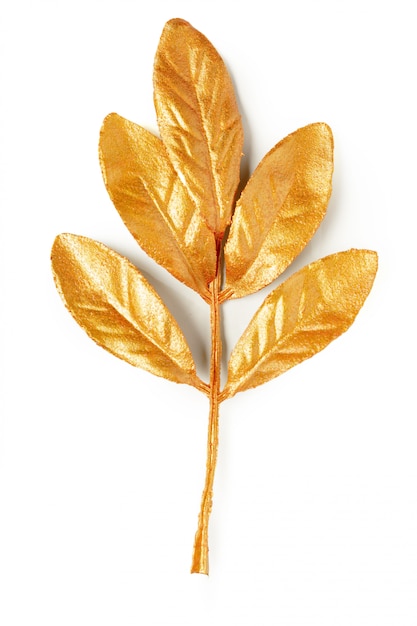 Elementos de design da folha de ouro.