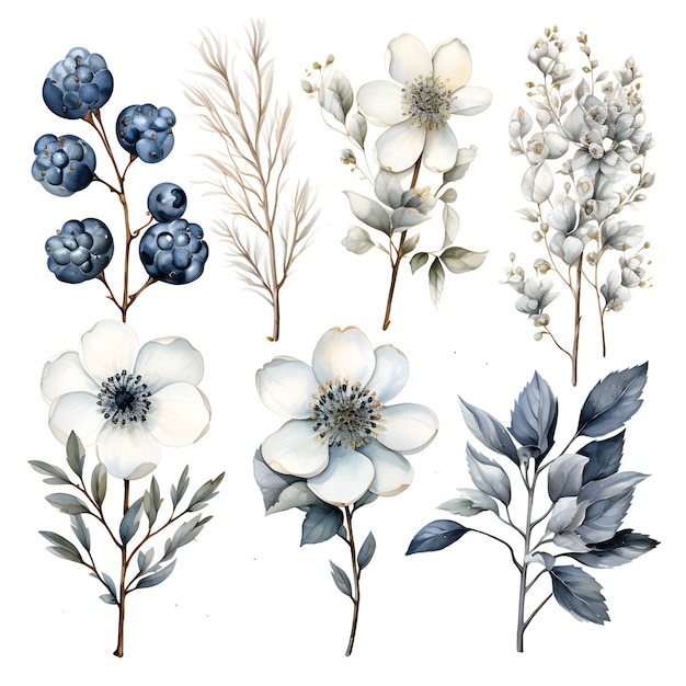 Elementos de flores de inverno aquarela desenho de sublimação branco