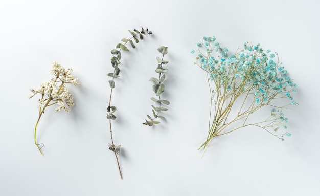 elementos de flores isolados na maquete de fundo branco