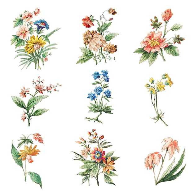 Elementos de diseño de conjuntos de flores en flor vintage