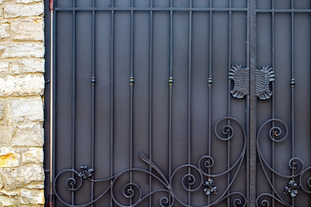 Foto elementos de hierro forjado ornamentados de decoración de puerta de metal.