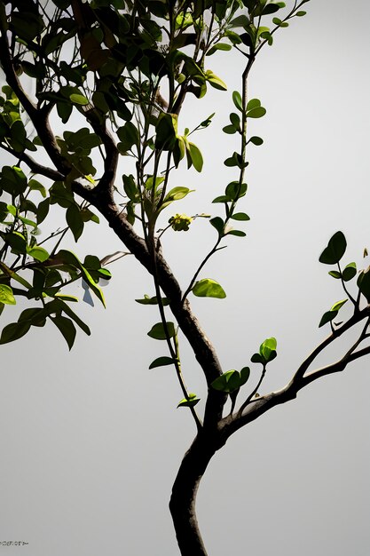 Elementos de ilustración de fondo de papel tapiz de forma abstracta flores ramas vides