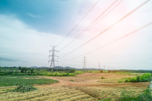 Foto eletricidade torres na tarde luz bin paisagem