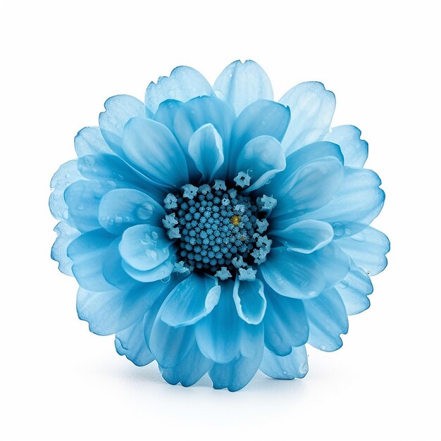 Foto elevación de la flor azul aislada en el blanco