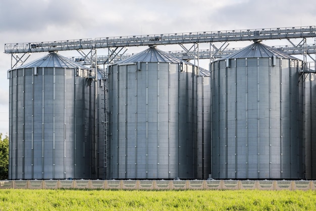 Elevador de celeiro moderno e linha de limpeza de sementes silos de prata em agroprocessamento e planta de fabricação para armazenamento e processamento de limpeza de secagem de produtos agrícolas farinha de cereais e grãos