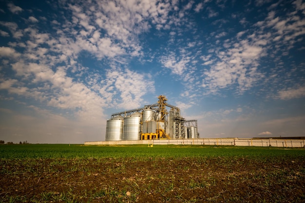 Elevador de celeiro moderno Silos de prata em agroprocessamento e planta de fabricação para processamento de limpeza de secagem e armazenamento de produtos agrícolas farinha de cereais e linha de limpeza de sementes de grãos