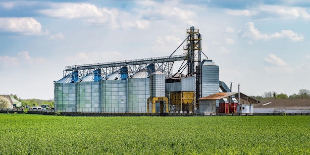 Elevador de celeiro moderno silos de prata em agroprocessamento e planta de fabricação para processamento de limpeza de secagem e armazenamento de produtos agrícolas farinha de cereais e linha de limpeza de sementes de grãos