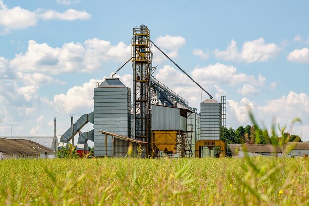 Elevador de celeiro moderno Silos de prata em agroprocessamento e planta de fabricação para processamento de secagem, limpeza e armazenamento de produtos agrícolas farinha de cereais e grãos