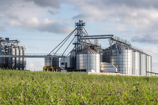 Elevador de celeiro moderno Silos de prata em agroprocessamento e planta de fabricação para processamento de secagem, limpeza e armazenamento de produtos agrícolas farinha de cereais e grãos