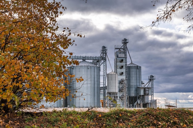 Elevador de celeiros moderno e linha de limpeza de sementes em silos de prata em agroprocessamento e planta de fabricação para armazenamento e processamento de limpeza de secagem de produtos agrícolas farinha de cereais e grãos