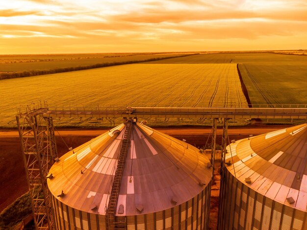 Foto elevador de grãos de metal elevador de grãos em armazenamento agrícola de zona agrícola para silos de grãos de colheita