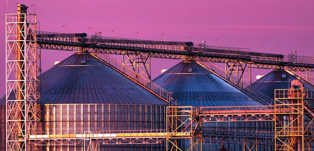 Elevador de grãos Moderno complexo agroindustrial Para armazenamento e secagem de grãos