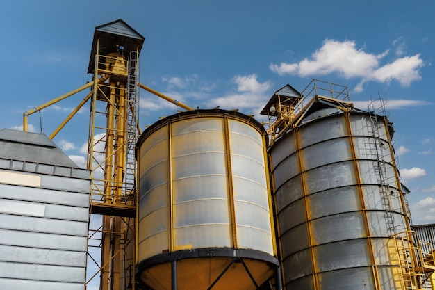 Foto elevador de silos de grãos no complexo agroindustrial com linha de limpeza e secagem de sementes para armazenamento de grãos