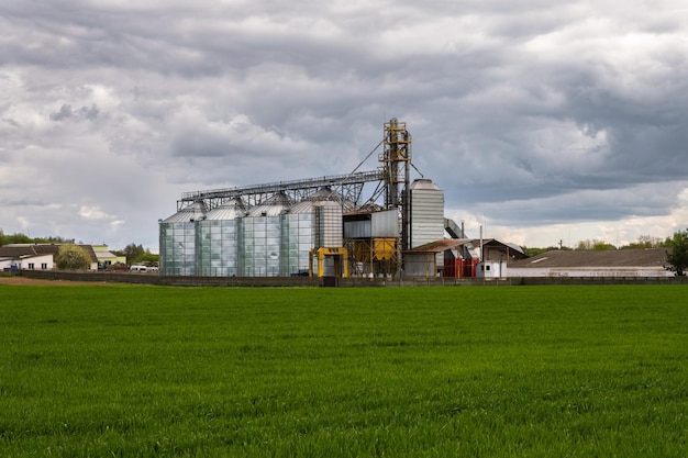 Elevador de granero de agrosilos en la planta de fabricación de agroprocesamiento para el procesamiento, secado, limpieza y almacenamiento de productos agrícolas, harina, cereales y granos