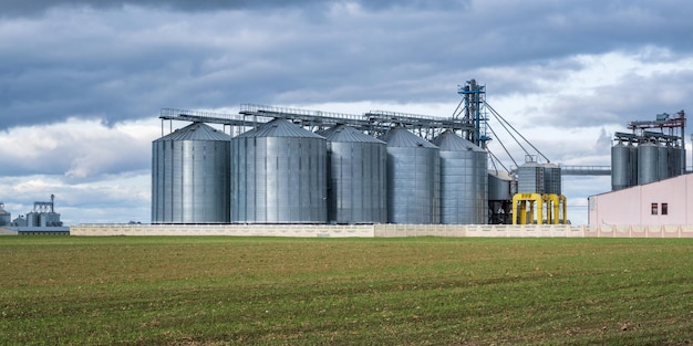 Elevador de granero moderno y línea de limpieza de semillas en silos de plata en la planta de procesamiento y fabricación de productos agrícolas para el almacenamiento y procesamiento, limpieza por secado de productos agrícolas, harina, cereales y granos