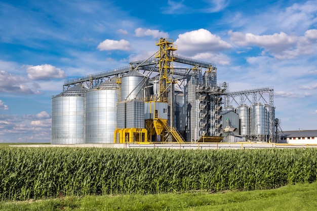 Elevador de granero moderno Silos de plata en la planta de procesamiento y fabricación de productos agrícolas para el procesamiento, secado, limpieza y almacenamiento de productos agrícolas, harina, cereales y granos