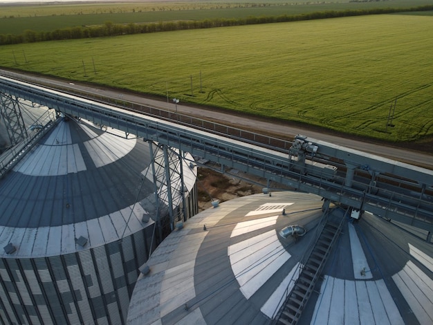 Elevador de granos Elevador de granos de metal en zona agrícola Almacenamiento agrícola para silos de granos de cosecha