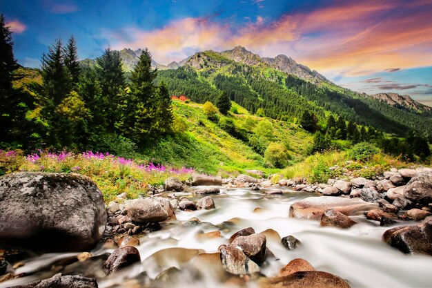 Foto elevit plateau é o lugar mais bonito do mar preto rize turquia