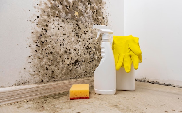 Eliminación de moho de la pared Detergentes para eliminar hongos en casa Preparación para eliminar moho