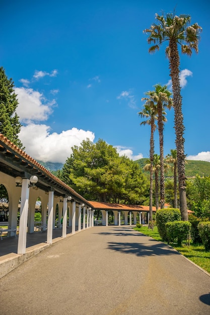 Em budva há um parque pitoresco perto do aterro Montenegro