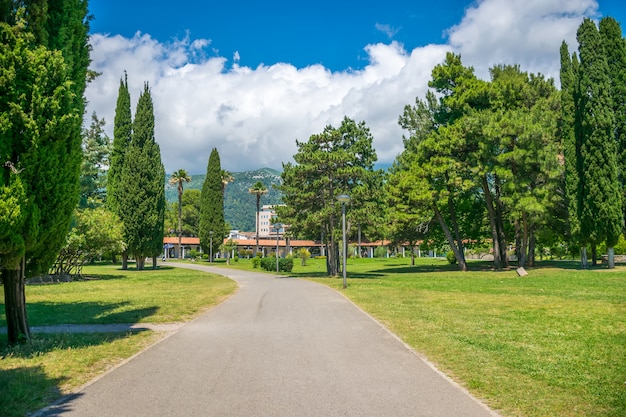 Em budva, há um parque pitoresco perto do aterro. montenegro.