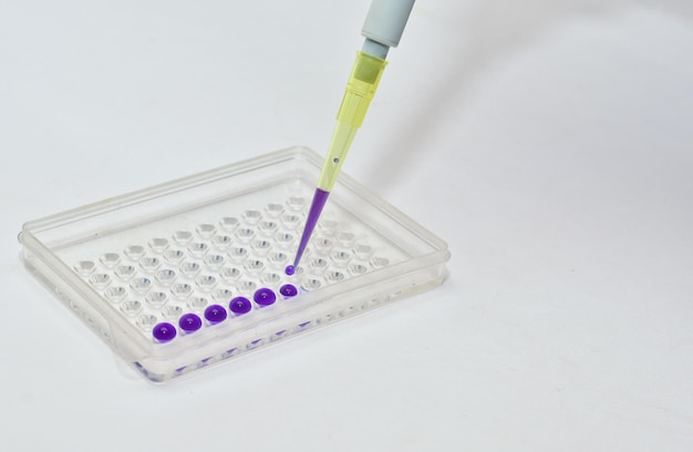 Em laboratórios de diagnóstico clínico