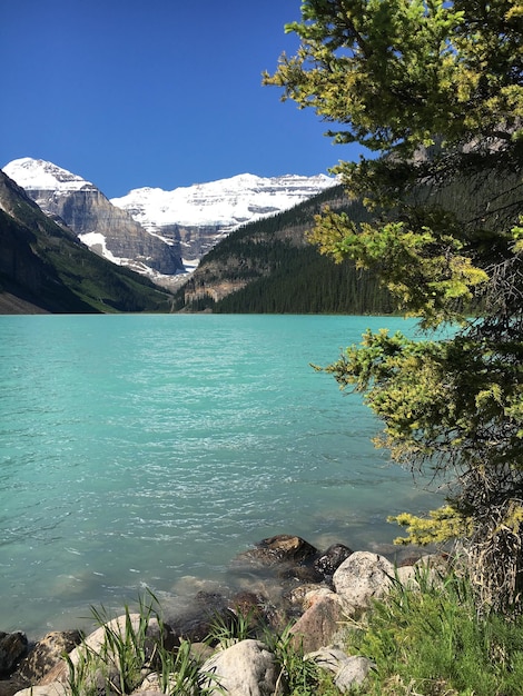 Foto em lake louise