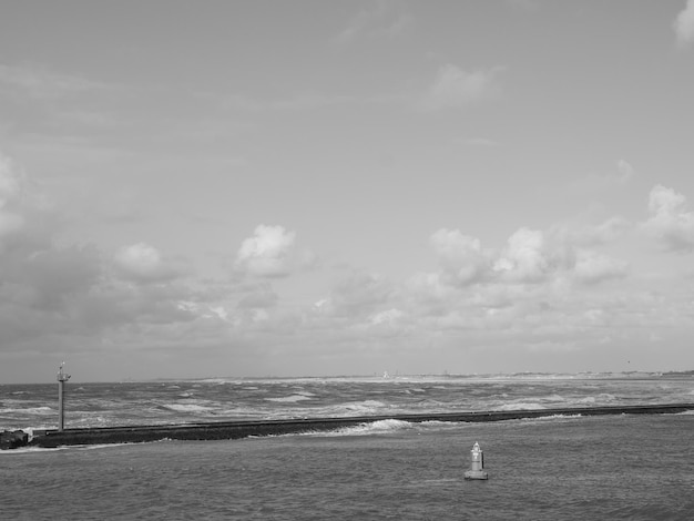 Foto em rotterdam, nos países baixos