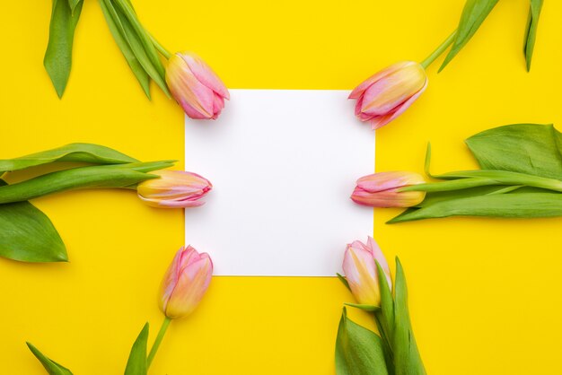 Em torno da folha vazia forrada com lindas tulipas cor de rosa.