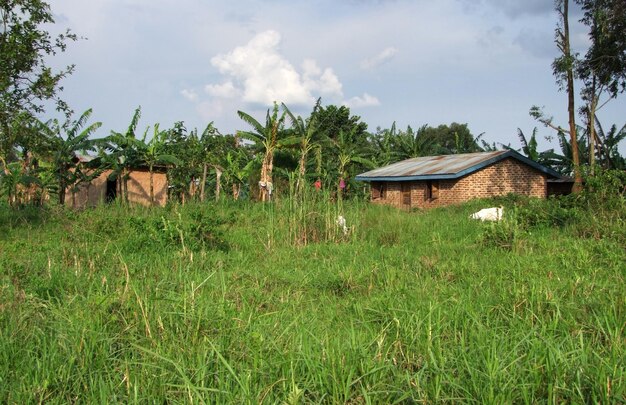 em torno das montanhas Rwenzori