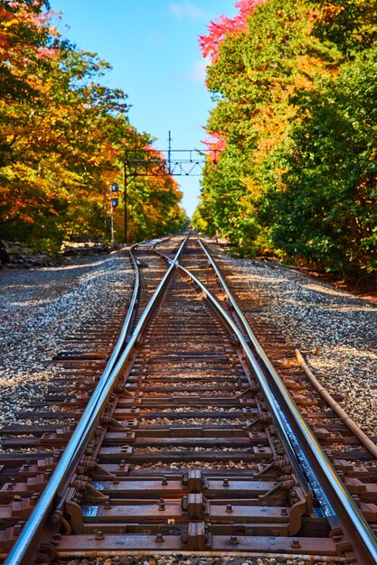 Em trilhos de trem vazios que levam à floresta durante a folhagem de outono