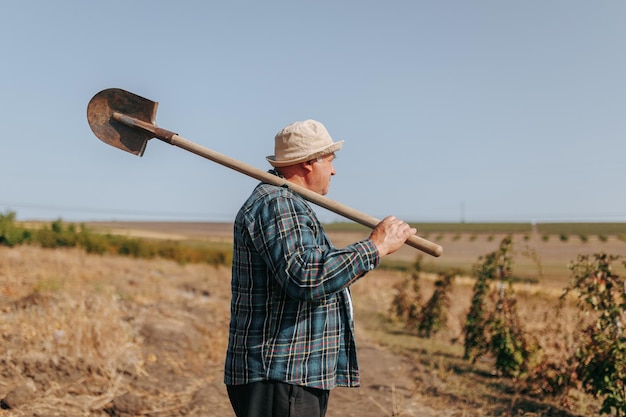 Em um com a terra um velho fazendeiro leva um momento para ficar de pé e refletir pá pronto para o seu