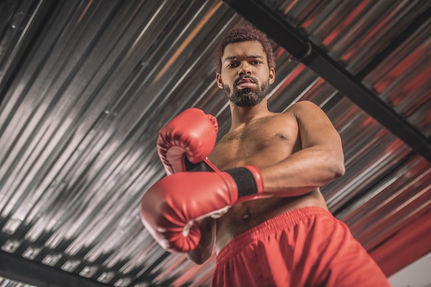 Em uma academia. kickboxer de pele escura em shorts vermelhos e luvas de boxe vermelhas