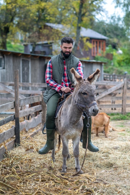 Em uma fazenda. Um agricultor sentado em um burro em uma fazenda