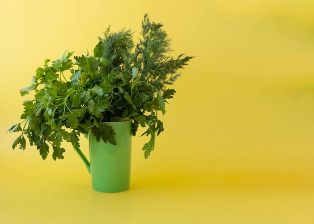 Em uma salsa de fundo amarelo com endro em um círculo verde é um lugar para texto